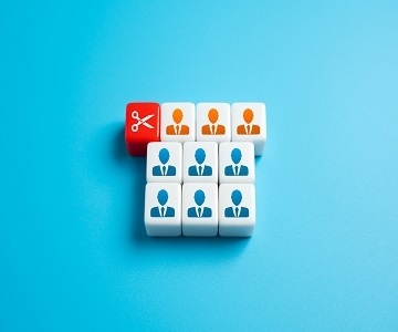 Employee Share Option Plans (ESOPs) 