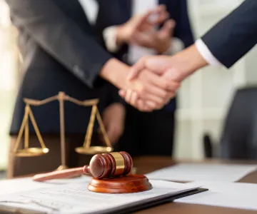 Our Comprehensive Fostering Legal Services