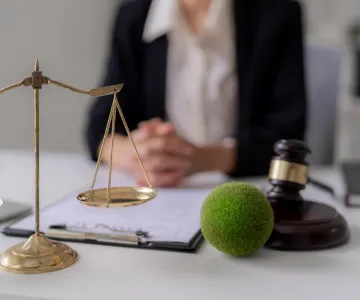 Skilled Lawyers and Legal Advisors.